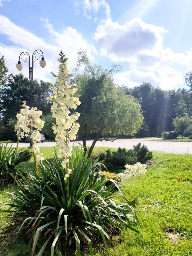 Willa Park Ostrowiec Świętokrzyski Exterior foto